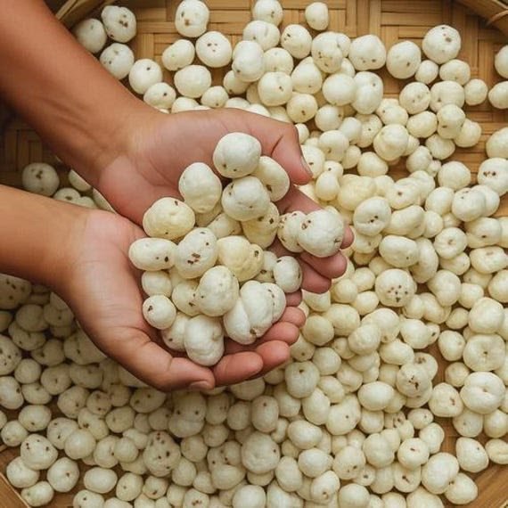Fox Nuts (Makhana)